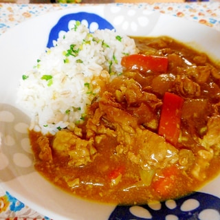 ゴボウ入り和風カレー